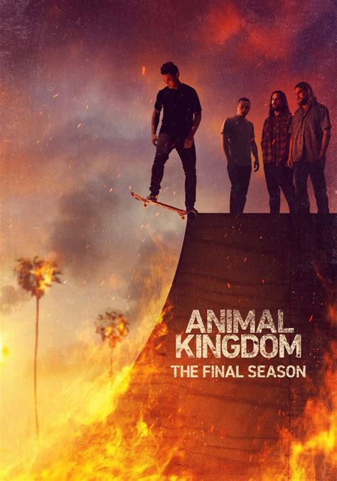 Where to Watch and Stream Animal Kingdom Season 6 Free Online.